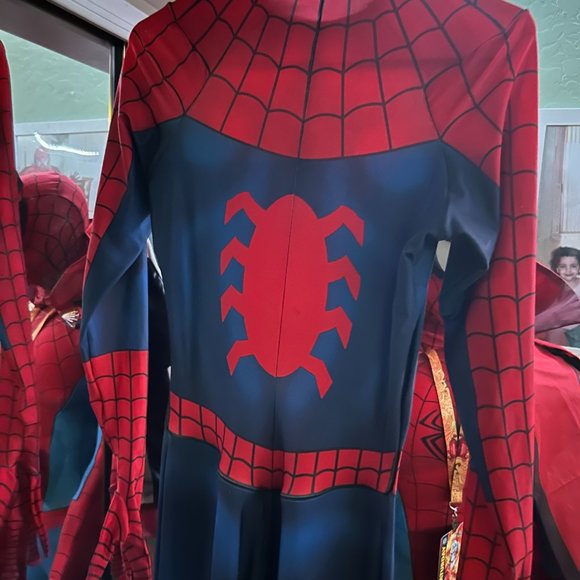 Spider-Man Professional Grade Cosplay Costume! - Picture 10 of 12